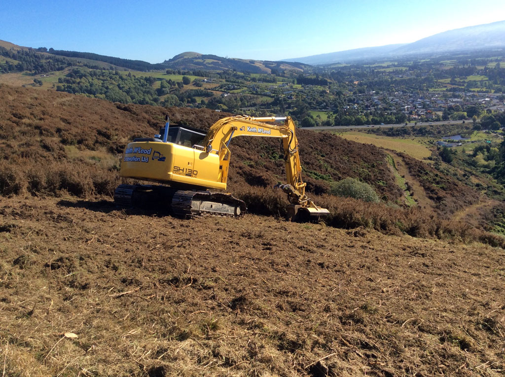 Gorse mulching