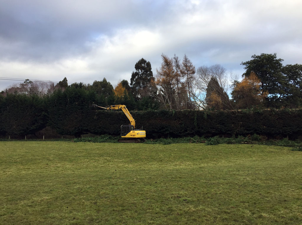 Hedge trimming
