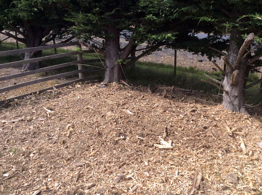 Stump grinding after