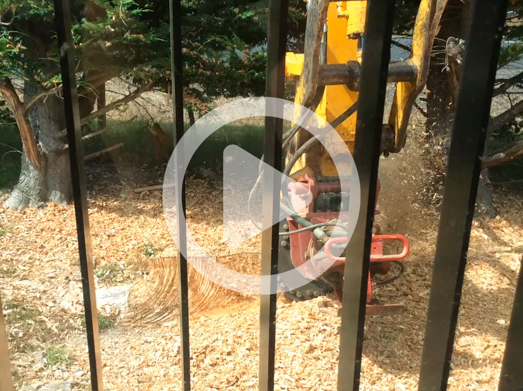Stump grinding video