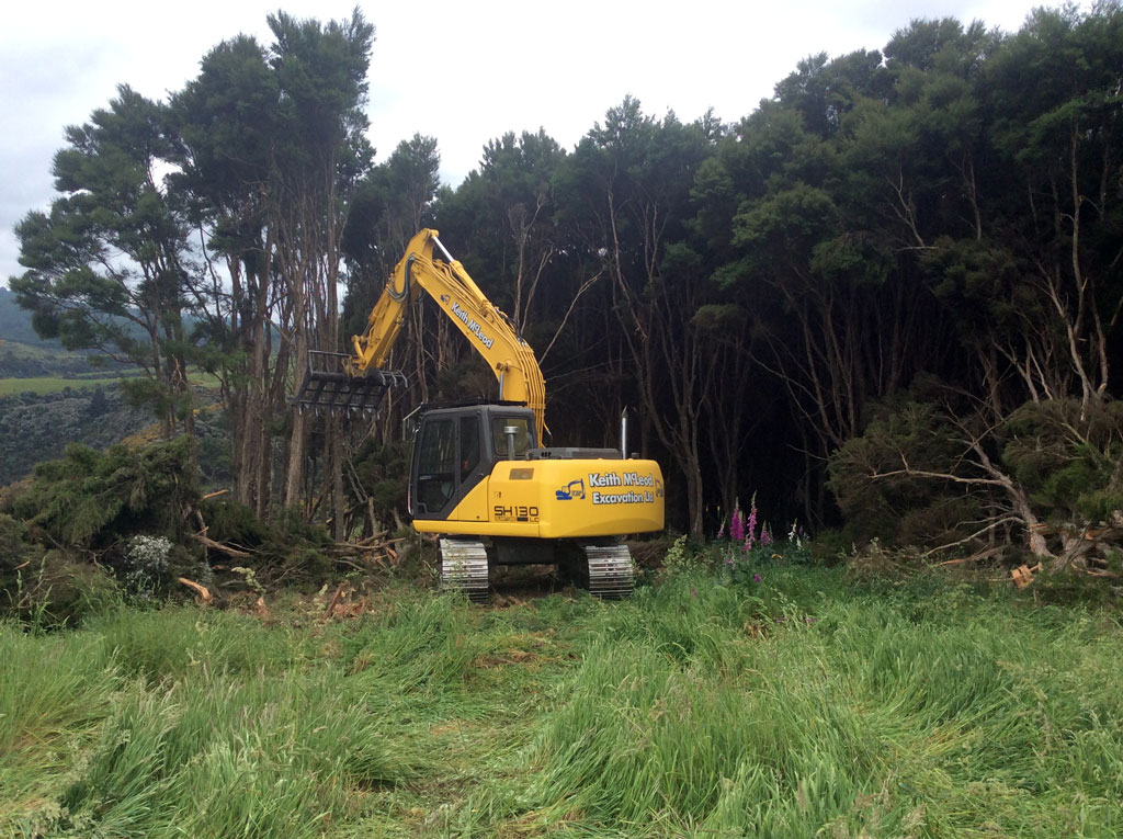 Tree removal